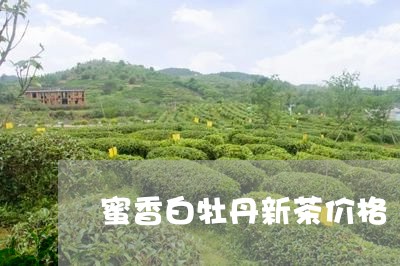 蜜香白牡丹新茶价格/2023120522493