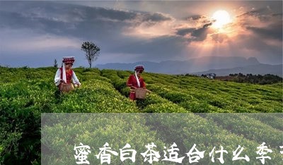 蜜香白茶适合什么季节喝/2023073191936