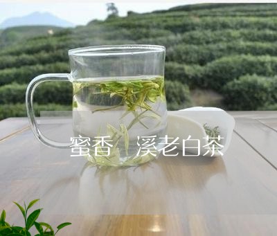 蜜香磻溪老白茶/2023073194027