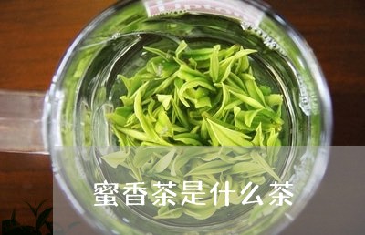 蜜香茶是什么茶/2023042923232