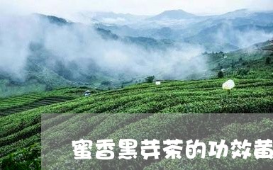 蜜香黑芽茶的功效黄金卷红茶/2023052647474