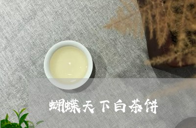 蝴蝶天下白茶饼/2023061005160