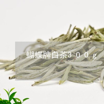 蝴蝶牌白茶300g/2023121587350