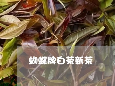 蝴蝶牌白茶新茶/2023061074737