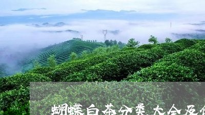 蝴蝶白茶分类大全及价格/2023111787848