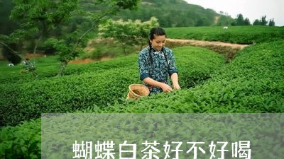 蝴蝶白茶好不好喝/2023071181058