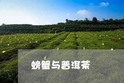 螃蟹与普洱茶/2023042837883