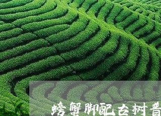 螃蟹脚配古树普洱茶好吗/2023110317361