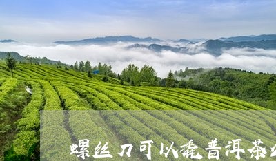 螺丝刀可以撬普洱茶么视频/2023112556040