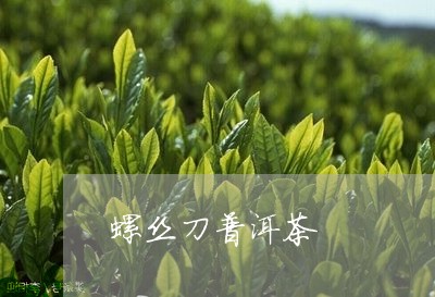 螺丝刀普洱茶/2023101654827