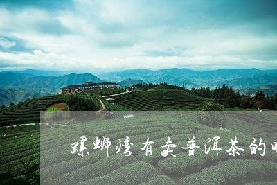 螺蛳湾有卖普洱茶的吗/2023092739271