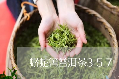 蟒蛇箐普洱茶357/2023081657359