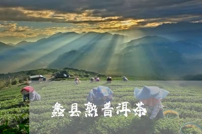 蠡县熟普洱茶/2023042835804