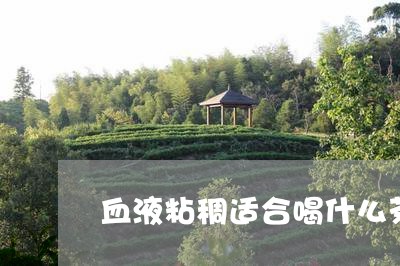 血液粘稠适合喝什么茶/2023071387380