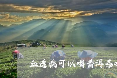 血透病可以喝普洱茶吗/2023093023727