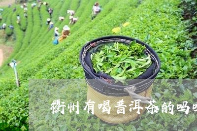 衢州有喝普洱茶的吗吗/2023092816047