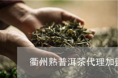 衢州熟普洱茶代理加盟店/2023121873037