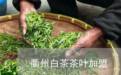 衢州白茶茶叶加盟/2023071057372