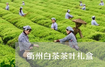 衢州白茶茶叶礼盒/2023071049491