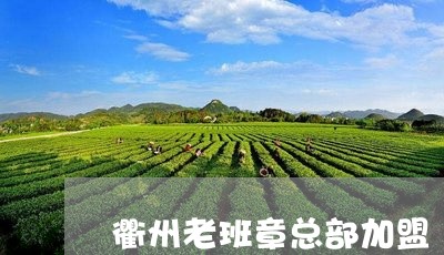 衢州老班章总部加盟/2023042707139