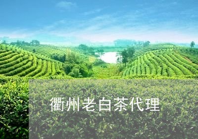 衢州老白茶代理/2023061061713