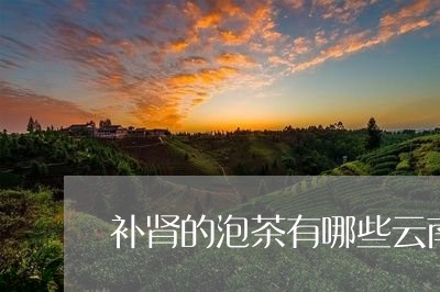 补肾的泡茶有哪些云南茶城网/2023052680724