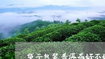 袋子包装普洱茶好不好/2023120652803