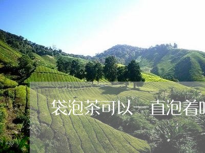 袋泡茶可以一直泡着吗/2023060826371