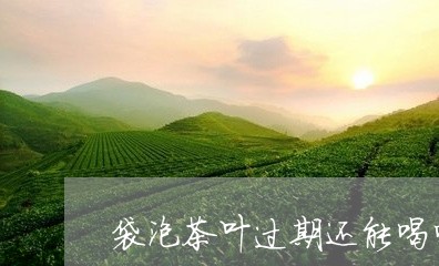 袋泡茶叶过期还能喝吗/2023092363625