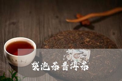 袋泡茶普洱茶/2023042707681