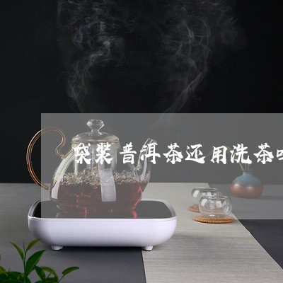 袋装普洱茶还用洗茶吗/2023080320583