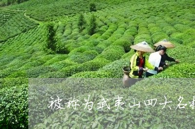 被称为武夷山四大名枞的茶叶是什么/2023060492828