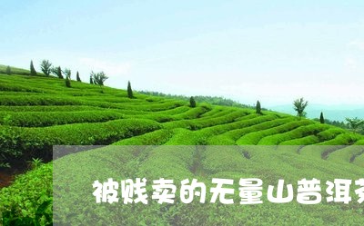 被贱卖的无量山普洱茶/2023062337251