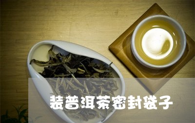 装普洱茶密封袋子/2023101633926