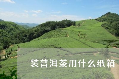 装普洱茶用什么纸箱/2023091517148