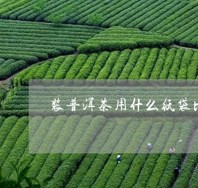 装普洱茶用什么纸袋比较好/2023110468360