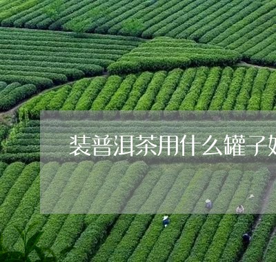 装普洱茶用什么罐子好/2023062440492