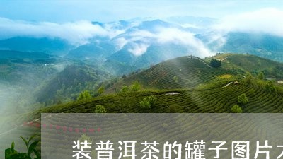 装普洱茶的罐子图片大全/2023102496169