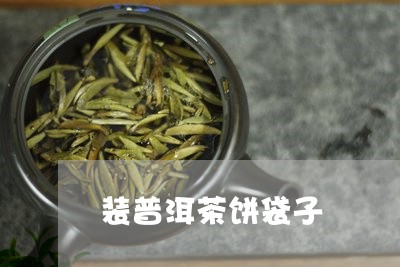 装普洱茶饼袋子/2023081698481