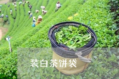 装白茶饼袋/2023051129694