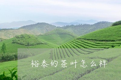 裕泰的茶叶怎么样/2023042519693