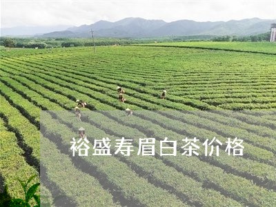 裕盛寿眉白茶价格/2023090823825