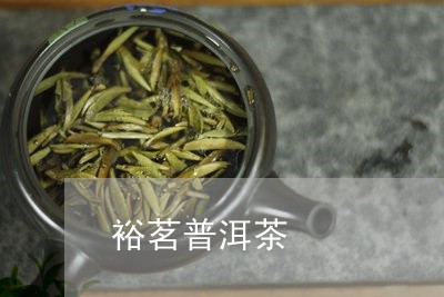 裕茗普洱茶/2023081594079