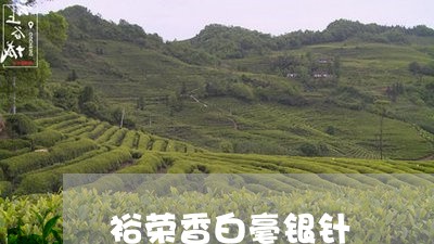 裕荣香白毫银针/2023060936260