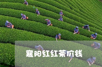 襄阳红红茶价钱/2023042999014