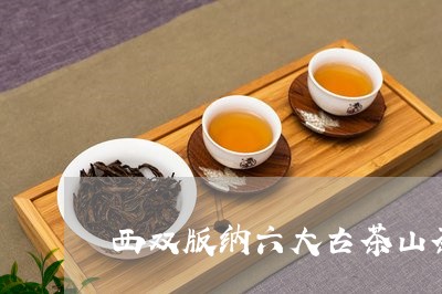 西双版纳六大古茶山茶王饼/2023051113748