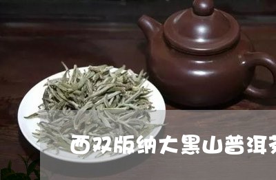 西双版纳大黑山普洱茶/2023080295269