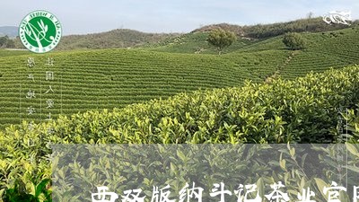 西双版纳斗记茶业官网/2023092174916