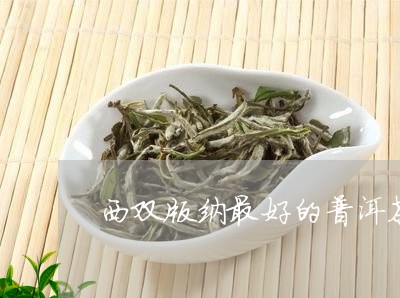 西双版纳最好的普洱茶在哪里/2023052955248