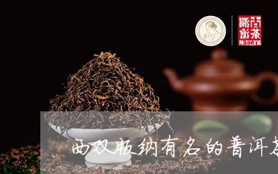 西双版纳有名的普洱茶/2023062781514